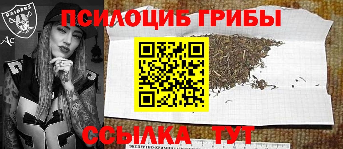Галлюциногенные грибы Cubensis  Вход с VPN  Тихорецк 